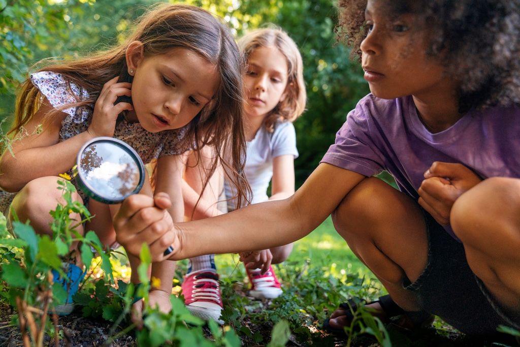 "Invloed van de natuur op taalontwikkeling nog veel groter dan gedacht"