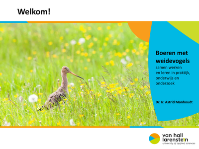 Boeren met weidevogels