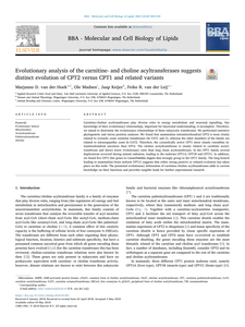 Evolutionary analysis of the carnitine- and choline acyltransferases suggests distinct evolution of CPT2 versus CPT1 and related variants