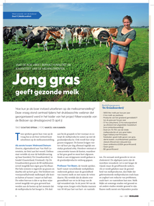 Jong gras geeft gezonde melk