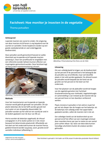 Factsheet: hoe monitor je insecten in de vegetatie