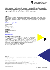 Mitochondrial dysfunction in human hypertrophic cardiomyopathy is linked to cardiomyocyte architecture disruption and corrected by improving NADH-driven mitochondrial respiration