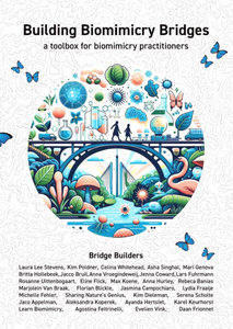 Building Biomimicry Bridges - a toolbox for biomimicry practitioners